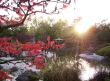 Japanischer Garten